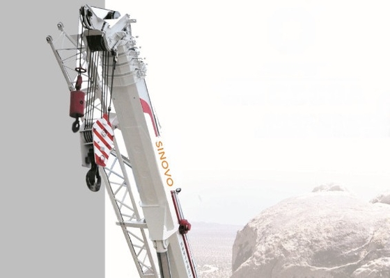 Grúa de correa eslabonada hidráulica telescópica SQ250A 37 Ton Lattice Boom Crane con precio bajo en venta
